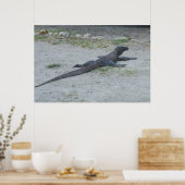 Young Komodo Dragon Poster (Keuken)