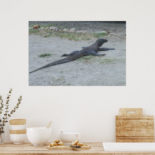 Young Komodo Dragon Poster (Keuken)