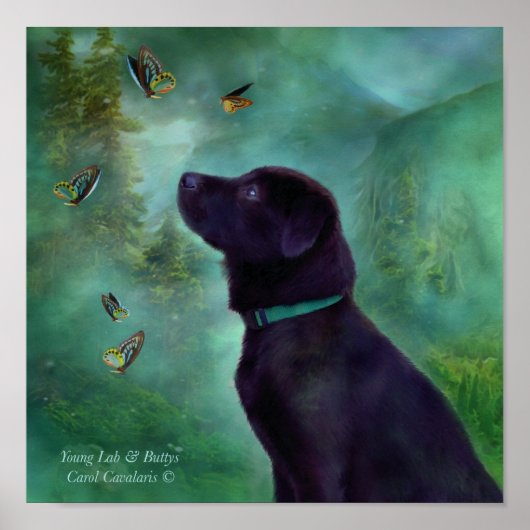 Young Lab & Buttys Art Poster/Print Poster (Voorkant)