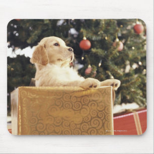 Young Labrador Leaning op een kerstcadeautje Muismat