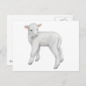 Young Lamb Briefkaart (Voorkant / Achterkant)