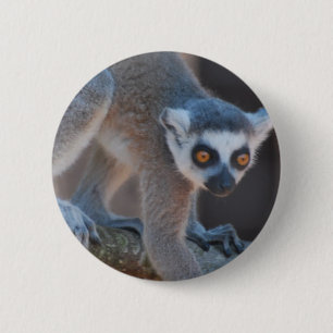 Young Lemur Button