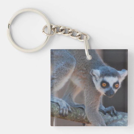 Young Lemur Sleutelhanger (voorkant)