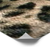 Young Leopard Cub Art Gifts Poster (Hoek)