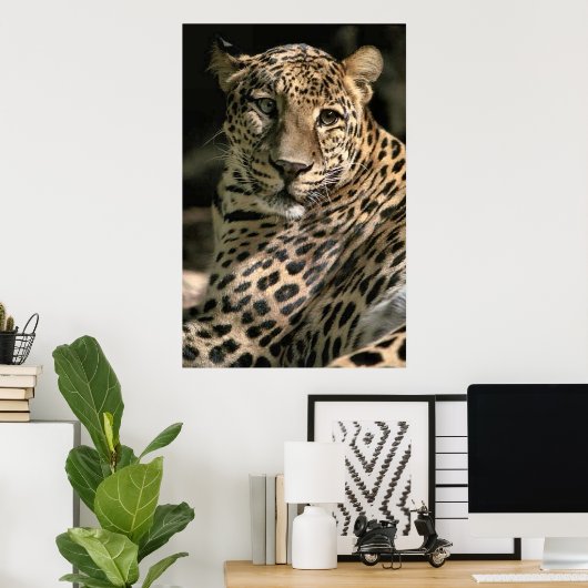 Young Leopard Cub Art Gifts Poster (Thuiskantoor)