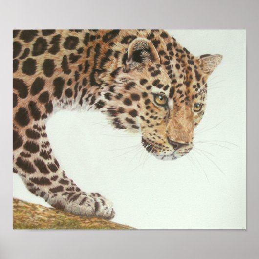 Young Leopard Painting Poster (Voorkant)