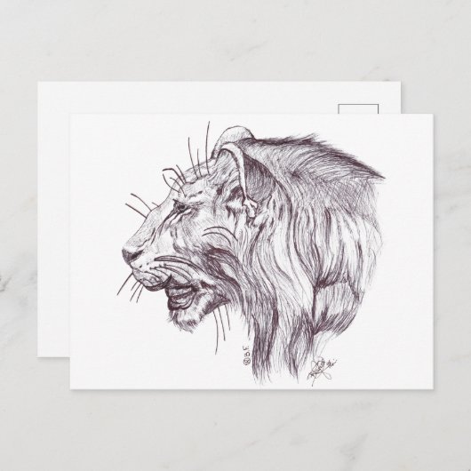 YOUNG LION BRIEFKAART (Voorkant / Achterkant)
