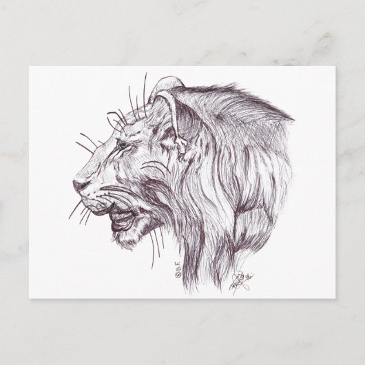 YOUNG LION BRIEFKAART (Voorkant)