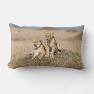 Young Lions Kussen