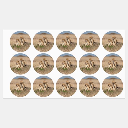 Young Lions Labels (Vel)