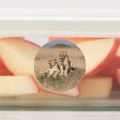 Young Lions Labels (Aangebracht)
