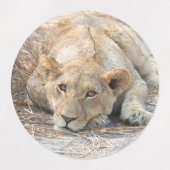 Young Lions Labels (Design 2)