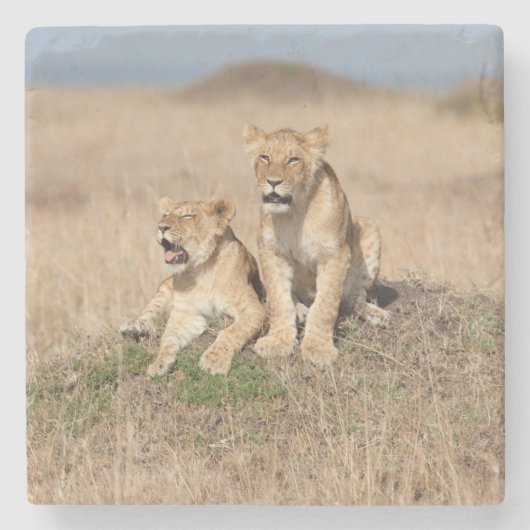 Young Lions Stenen Onderzetter (Voorkant)