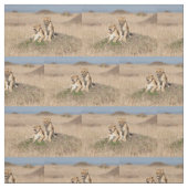 Young Lions Stof (Swatch)