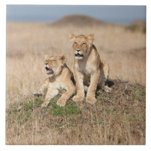 Young Lions Tegeltje