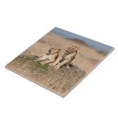 Young Lions Tegeltje (Zijkant)