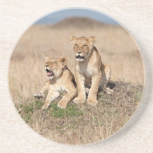 Young Lions Zandsteen Onderzetter (Voorkant)