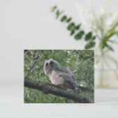 Young Long-eared Owl DIY Briefkaart (Staand voorkant)