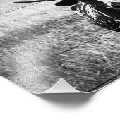 Young Longhorn Foto Afdruk (Hoek)