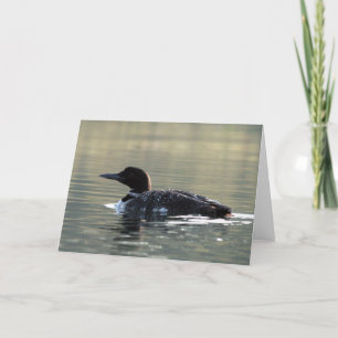 Young Loon Wenskaart Kaart