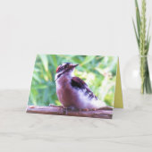 Young Male Downy Woodpecker on Railing Kaart (Voorkant)