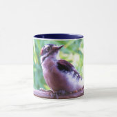 Young Male Downy Woodpecker on Railing Mok (Midden)