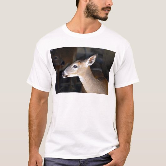 Young Male Key Deer, Florida T-shirt (Voorkant)
