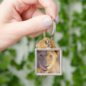 Young Male Lion Sleutelhanger (Hand)