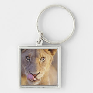 Young Male Lion Sleutelhanger