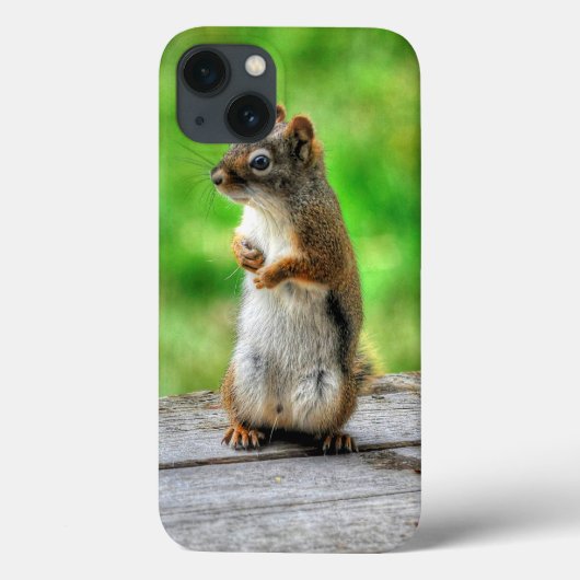 Young Male Squirrel Standing Willife Foto Case-Mate iPhone Case (Achterkant)