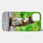 Young Male Squirrel Standing Willife Foto Case-Mate iPhone Case (Achterkant (horizontaal))