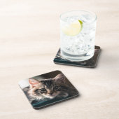 Young Male Tabby Cat 2 Drankjes Onderzetter (Rechterzijde)