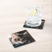 Young Male Tabby Cat 2 Kartonnen Onderzetters (Insitu)