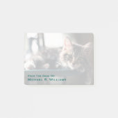 Young Male Tabby Cat 2 Post-it® Notes (Voorkant)