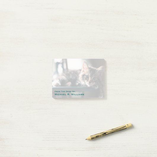 Young Male Tabby Cat 2 Post-it® Notes (Op bureau)