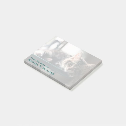 Young Male Tabby Cat 2 Post-it® Notes (Schuin)