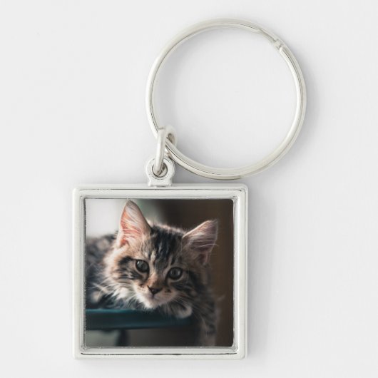 Young Male Tabby Cat 2 Sleutelhanger (Voorkant)