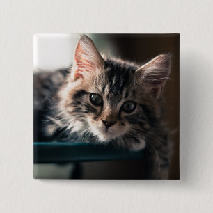 Young Male Tabby Cat 2 Vierkante Button 5,1 Cm