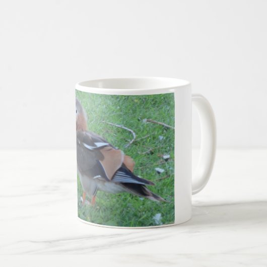 Young Mandarin Duck Mok (Voorkant rechts)