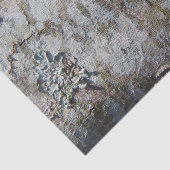 Young Maple Tree Bark 0041 Tissuepapier (Detail)