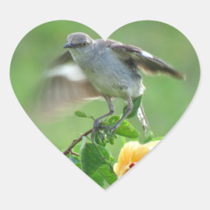 Young Mockingbird Stickers