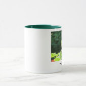 Young Mourning Dodve Mok (Midden)