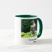 Young Mourning Dodve Mok (Voorkant rechts)