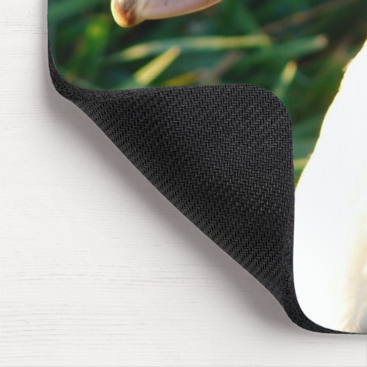 Young Muscovy Hen Duck Muismat (Hoek)