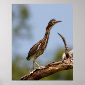 Young One Poster (Voorkant)