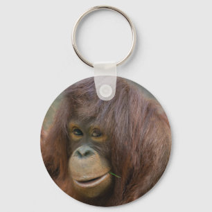 Young Orangutan Baby Sleutelhanger