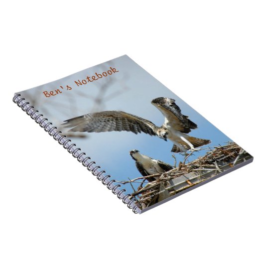 Young Ospreys Hawks Bens Notebook Notitieboek (Rechterzijde)