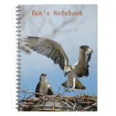 Young Ospreys Hawks Bens Notebook Notitieboek (Voorkant)