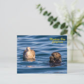Young Otter-Monterey Bay, California Briefkaart (Staand voorkant)