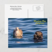 Young Otter-Monterey Bay, California Briefkaart (Voorkant / Achterkant)